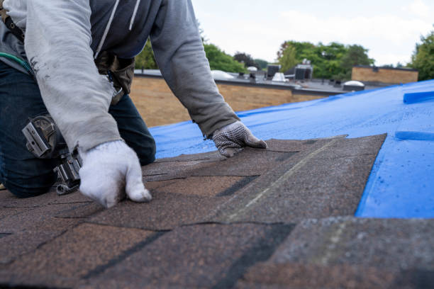 Best Roof Waterproofing Services  in Crockett, CA
